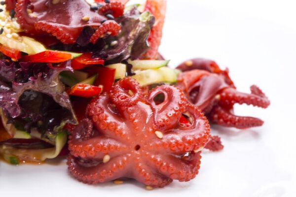 Octopus gepocheerd - 18x250g.