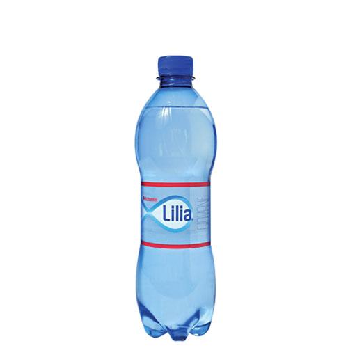Lilia acqua minerale – 1512x50cl